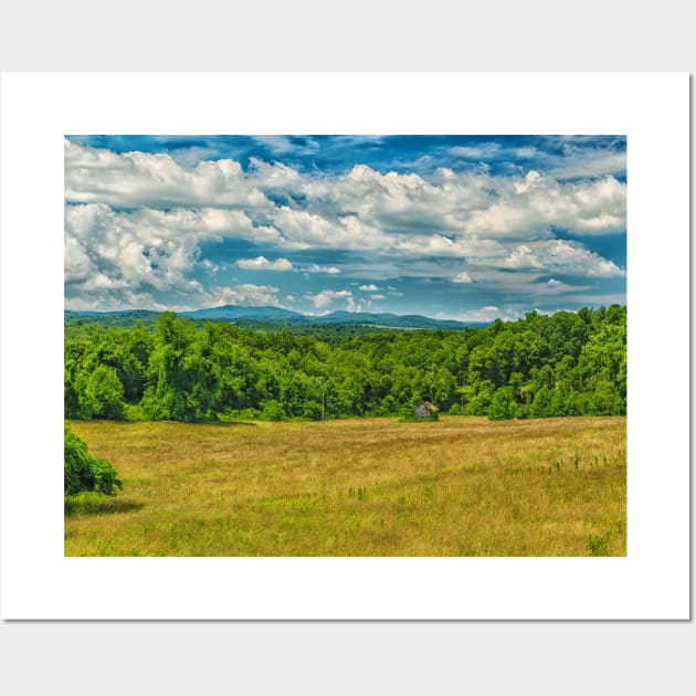 Virginia Summer Meadow Wall Art by Gestalt Imagery